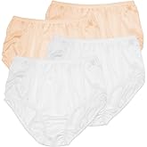 Teri Women's 331 Plain Jane Classic Nylon Silky-Smooth Lightweight Breathable Full Coverage Brief Panty - 4 Pack
