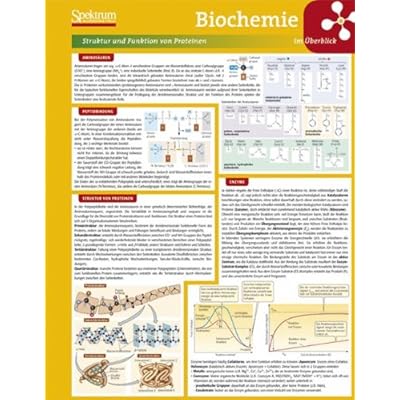 Pdf Download Lerntafel Biochemie Im Iberblick Lerntafeln Biologie German Edition Kostenlos Download Mobi Baubetrieb Kostenlos Pdf Download Lerntafel Biochemie Im Iberblick Lerntafeln Biologie German Edition Kostenlos Download Mobi Baubetrieb Kostenlos