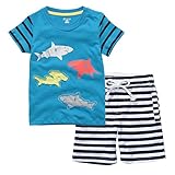 Fiream Little Boys' Cotton Clothing Short Sets(Blue,3T)