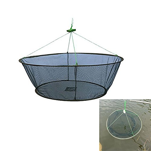 image for Unknown Portable Folded Fishing Net Fish Shrimp Minnow Crayfish Crab B