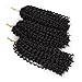 3 Packs/lot (Total 9 Bundles)Eunice Hair Marlybob Crochet Hair Afro Kinky Curly Hair Crochet Braids Curly Wave Crochet Braiding Hair Synthetic Hair Extension 3 Bundles/Pack 3 Packs/Lot (8 inch, black)