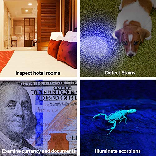 Black Light UV Flashlight 100 LED Blacklight Premium Handheld Ultraviolet Pet Dog and Cat Urine Stain Finder Detects Human Fluids, Counterfeit Money, Bed Bugs Scorpions & Leaks - Arf Pets (Certified - Thumbnail 4
