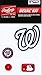 Rawlings Sporting Goods MLBDC Decal Kit, Washington Nationals