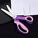 Goodes Pinking Shears, Handled Professional Stainless Steel Dressmaking Sewing Scissors for Thin Fabrics Linings Leather Paper and Craft (Serrated)