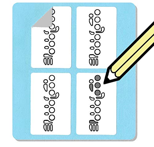 Flute Fingering Stickers Set (250 Pack) Super Handy for Students and Teachers!