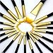FEIYAN Makeup Brush Set Eyeshadow Brushes Wood Handle Makeup Brush Set Professional Eyeliner Lip Powder Liquid Cream Cosmetic Brushes Kit (20 pcs, Golden Black)