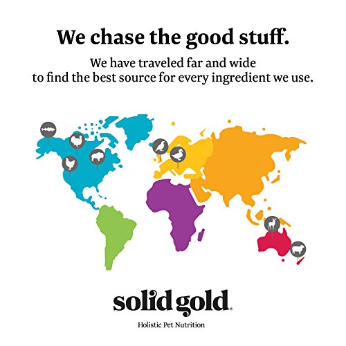 Solid Gold Dry Dog Food for Adult & Senior Dogs Made with Real