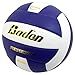 Baden Perfection Premium Leather Indoor Official Game Volleyball 13U to College Official Size + Weight NFHS + AVCA Approved