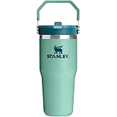 STANLEY IceFlow 2.0 Flip Straw Tumbler with Handle 14 oz | Twist On Lid and Flip Up Straw | Leakproof Water Bottle | Insulated Stainless Steel | BPA-Free | Spring Green