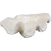 LC LCdecohome Decorative Bowl Entryway Table Decor - Resin Clam Shells Bowls Seashell Beach Console Table Home Decor Accents for Ocean Themed Living Room Coffee Table Decor 9 * 6 * 3.5 Inch