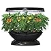 AeroGarden 7 LED Indoor Garden with Gourmet Herb Seed Pod Kit