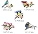 Iron-on Bird Patches (Set of 9) - Embroidered Appliques, Repair and Decorate Clothing, Bags - by Beaulegan