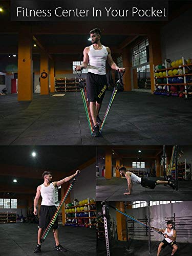 Resistance Band Set 11pcs ,Workout Bands Include 5 Exercise Bands, Door Anchor, Foam Handles, Carrying Bag for Resistance Training , Physical Therapy, Home Workouts-Stackable Up to 100lbs