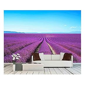 Lavender Flower Blooming Scented Fields in Endless Rows Valensole Plateau, Provence, France, Europe - Removable Wall Mural | Self-Adhesive Large Wallpaper - 66x96 inches