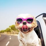 Pet Leso Doggles Goggles Stylish Doggie Puppy Sunglasses Windproof - Pink