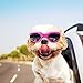 Petleso Pet Goggles , Stylish Dog Sunglasses for UV Stop Waterproof Windproof Anti-fog Eye Protection - Pink
