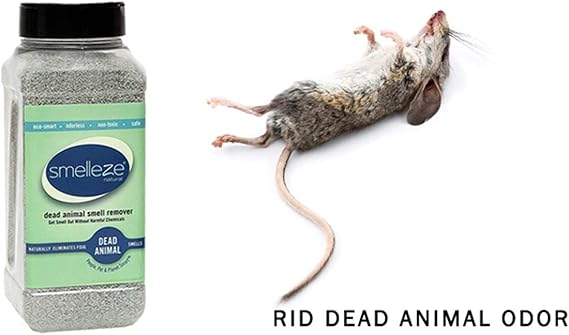 Amazon Com Smelleze Natural Dead Animal Odor Removal 2 Lbs Powder Eliminate Dead Rat Mice Squirrel Chipmunk Raccoon Bat Smell Safe For Indoor Use Home Kitchen