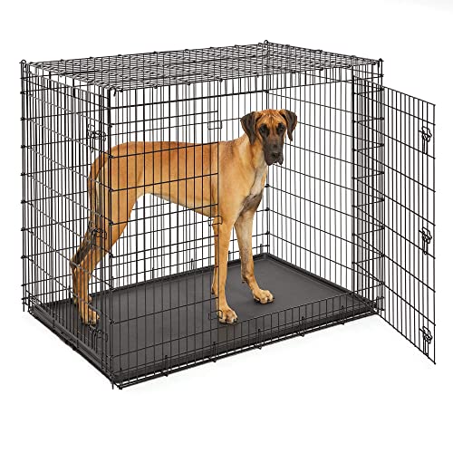 View of Midwest SL54DD Ginormus Double Door Dog Crate for XXL for the Largest ...