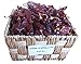 Dried Mexican California (Anaheim) Chiles El Molcajete Brand 8 oz Bag ‐ Mexican Recipes, Tamales, Salsa, Chili, Meats, Soups, Stews & BBQ