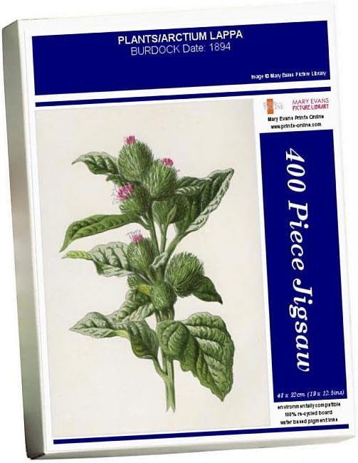 Media Storehouse 400 Piece Puzzle of Plants/Arctium Lappa (14274929)