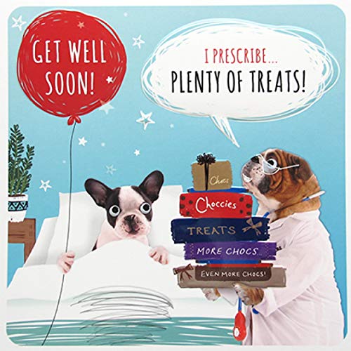 get well soon dog treats