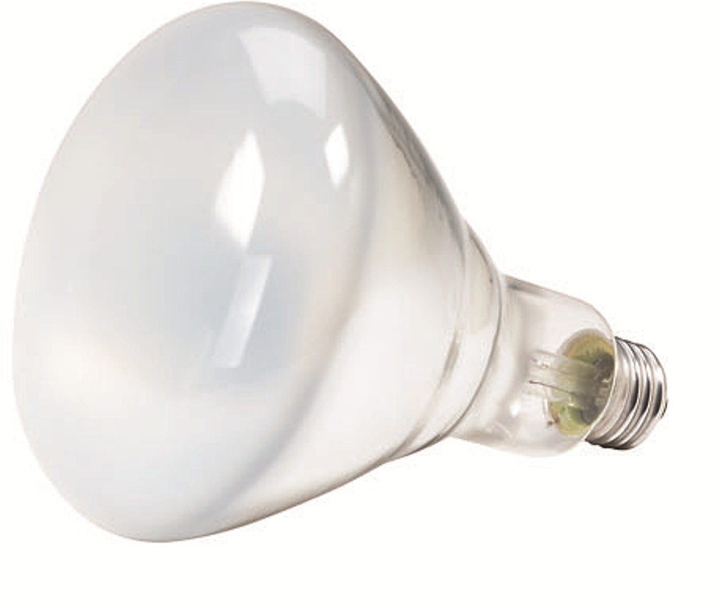 12Pack Philips 387795 Soft White 65Watt BR40 Indoor Flood Light Bulb