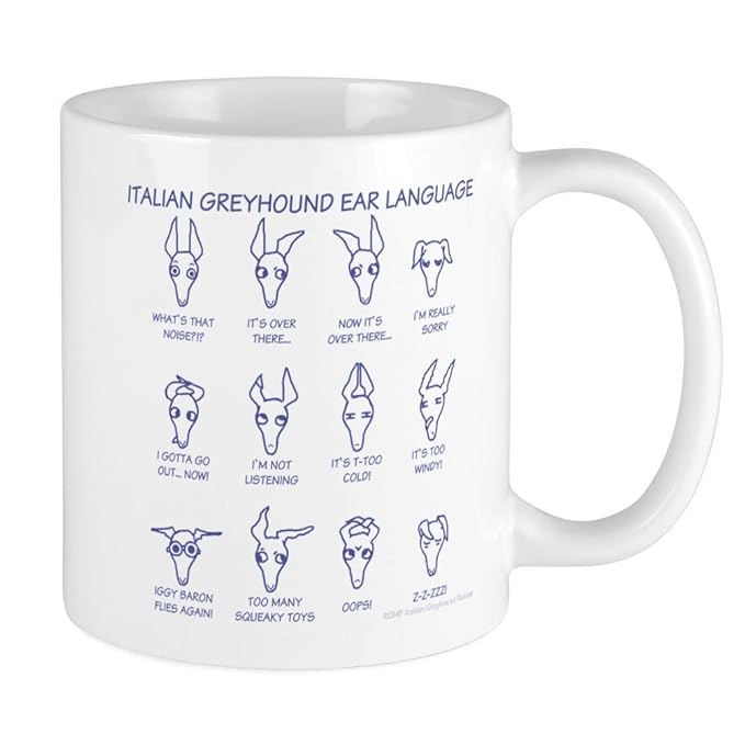 italian greyhound ears