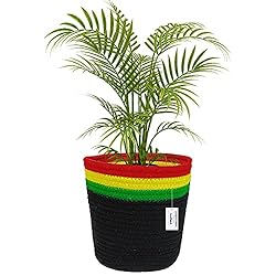 FREESPIRAL - Reggae Rope Basket for Single