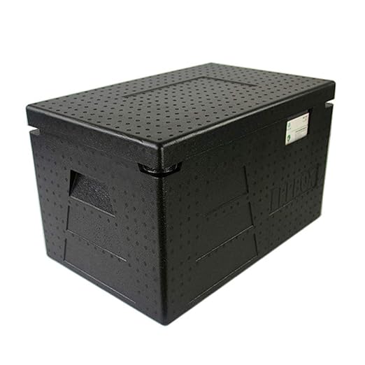 DEE Refrigerador-enfriador de automóviles Caja Refrigerador ...