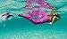 Fin Fun Mermaid Tail, Reinforced Tips, Monofin, Malibu Pink, Size Child 8