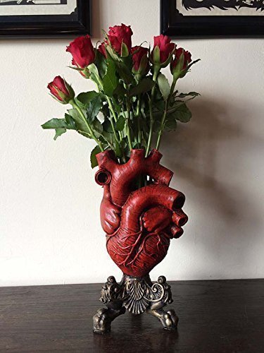 Anatomical Heart Vase, Red Finish