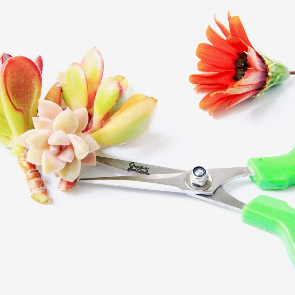 Gardening Scissors: Home Improvement