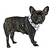 Puppia A Neil Harness, Medium, Navy