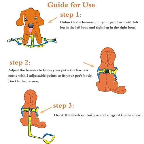 IKOCO No-Pull Dog Leash Harness Adjustable and Heavy Duty Denim Dog Training Walking Leash Collar for Large/Medium/Small Dog(M, Red)