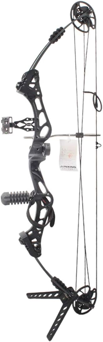 YOU339 Compound Bow Archery Hunting Equipment, Adjustable Compound Bow with maximum speed 310fps for adults (Black)