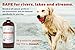Natural Dog Shampoo. Anti-Bacterial-Anti-Fungal- Anti-Itch , Promotes Healthy Hair and Skin, Helps Hot Spots. Shea Butter, Neem and Argan Oil, Aloe Vera and Bentonite. Concentrated-Organic by Moosh