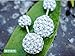 KOREA-JIAEN Shambhala Earrings S925 Sterling Silver Plated Base Cubic Zirconia Double Sided Fully-jewelled Earrings