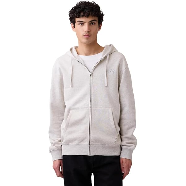 Hi-STANDARD　Diskah ZIP HOODIE (GRAY) XL Hi-STANDARD Diskah ZIP HOODIE (GRAY) XL Hi-STANDARD Diskah ZIP