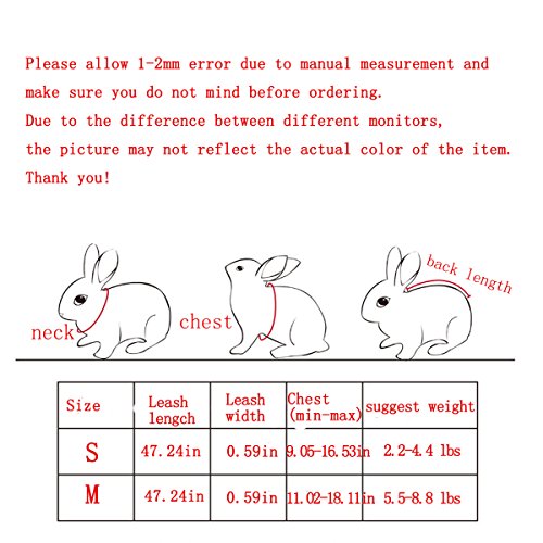 Layboo Soft Handsome Collar Rabbit Little Dogs Cats Harness With Leash Size (M, black) - Thumbnail 6