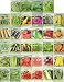 Set of 34 Pack Vegetable & Herb Seeds 34 Varieties Create a Deluxe Garden All Seeds are Heirloom, 100% Non-GMO! by Black Duck Brand 34 Different Varieties