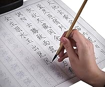 Skinny Body Soft Brush Copybook Regular Script Copybook