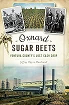 When Architecture Meets Activism: The Transformative Experience of Hank Williams Village in the Windy City