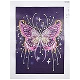 Amaping DIY 5D Diamond Painting by Number Kits Special Shaped Crystal Rhinestone Beads Pasted Embroidery Cross Stitch Kits Embellishment Arts Craft for Home Wall Hanging Decor