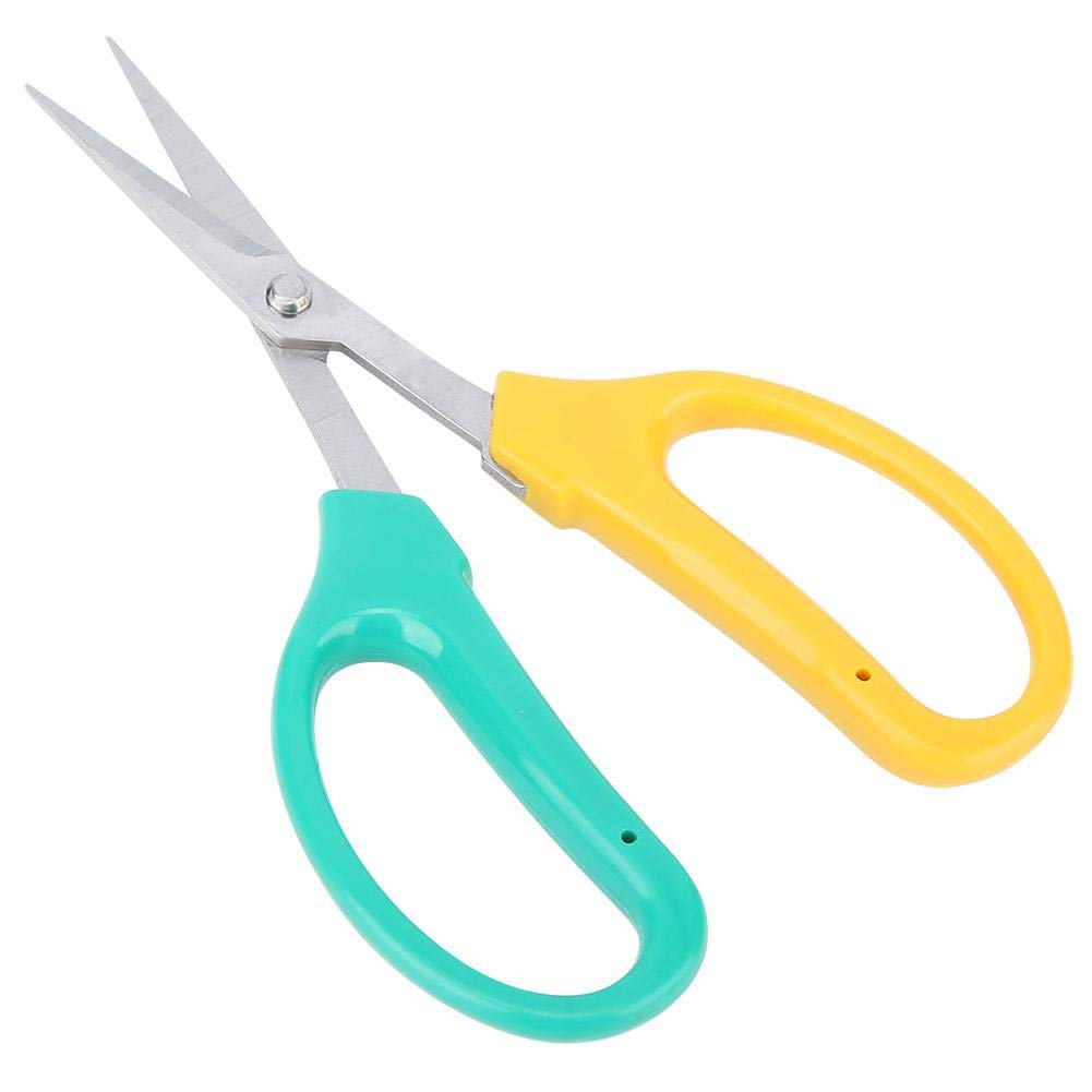 Potted Fruit Branch Shears Stainless Steel Bonsai Shears Curved Blade Shears Fruit Picking Scissors, Grape Pruning Shears, for Gardens, Bonsai Fruit Trees