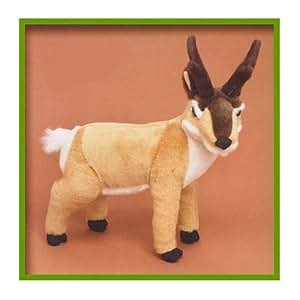 Amazon.com: Plush Stuffed Animal Pronghorn Antelope Arne: Toys & Games