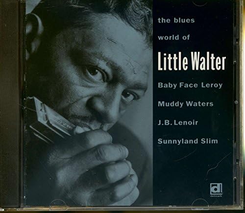 Amazon.com: Hate to See You Go by Little Walter: CDs y Vinilo