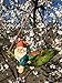 Twig & Flower Mini Gnomes Harley The Happy Miniature Leaf Hammock Gnomes Decor with His Best Blue Bird Buddy Jay Garden Gnomes 4.3