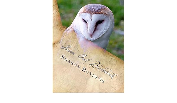 Amazon Com Barn Owl Photobook Royalty Free Color Pix Of The