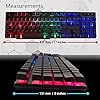 Gaming-keyboard-RGB-USB-wired-Rainbow-Keyboard-designed-for-PC-gamers-PS4-PS5-laptop-XBOX-Nintendo-switch-laptop-Orzly-RX-250-Hornet-edition Orzly Gaming Keyboard RGB USB Wired Rainbow Keyboard Designed for PC Gamers, PS4, PS5, Laptop, Xbox, Nintendo Switch, RX…