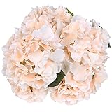 Luyue 5 Big Heads Artificial Silk Hydrangea Bouquet Fake Flowers Arrangement Home Wedding decor (Champagne)